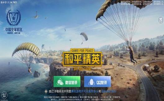 和平精英正规卖挂平台【小笼包一体直装】午后